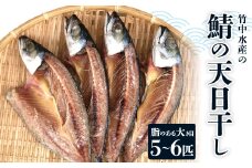 竹中水産の「鯖の天日干し」脂のある大き目を5～6匹ご用意!＜C22-265＞【1078741】