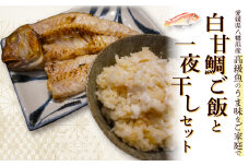 高級魚・白甘鯛ご飯と一夜干し＜E26-10＞_ 干物 ひもの ヒモノ 一夜干し 冷凍 アマダイ 甘鯛 セット 食べ比べ 愛媛 高級魚 【1254267】