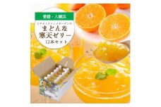 愛媛限定栽培柑橘 まどんな寒天ゼリー12本セット＜D25-16＞【1255523】