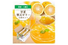 ほろ苦く甘酸っぱいさわやかな味わい 愛媛産 甘夏寒天ゼリー12本セット＜D25-17＞【1255524】