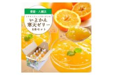 愛媛から「いい予感」♪ はじける香り いよかん寒天ゼリー 8本セット＜C25-23＞【1255530】