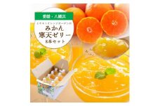 愛媛県八幡浜市のおいしいみかんを使用 みかん寒天ゼリー8本セット＜C25-22＞【1255529】