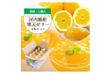 苦味の少ないさっぱり柑橘 和製グレープフルーツ 河内晩柑寒天ゼリー8本セット＜D25-24＞【1255531】