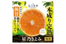 ＜特秀品＞星乃みかん園のきよみ(3.5kg)＜C45-53＞【1339350】
