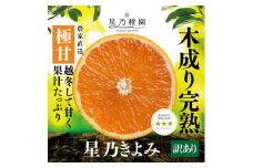 ＜訳あり＞星乃みかん園の星乃きよみ(5kg)＜C45-52＞【1339353】