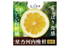 ＜特秀品＞星乃みかん園の河内晩柑(4kg)＜C45-49＞【1339357】
