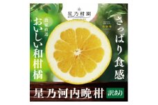 ＜訳あり＞星乃みかん園の河内晩柑 (8kg)＜C45-48＞【1339358】