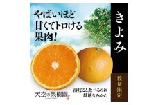 ＜特秀品＞天空の果樹園から届く そらきよみ (3.5kg)＜C45-73＞【1339371】