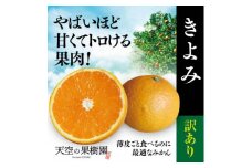 ＜訳あり＞天空の果樹園から届く　そらきよみ (5kg)＜C45-71＞【1339372】