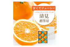 ＜2026年4月上旬出荷＞果汁たっぷり ジューシー清見 贈答BOX入り＜E25-100＞_ みかん ミカン 柑橘 フルーツ ふるーつ 果物 くだもの 青果 清見 きよみ 甘い ジューシー 愛媛 希少 産直 産地直送 箱入り 【1360103】