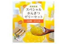 ミヤモトオレンジガーデンの「愛媛選り抜き!スペシャルかんきつゼリー12本セット」＜C25-152＞_ みかんゼリー ミカン 甘平 不知火 ミカンゼリー 清見 寒天 常温 愛媛県 フルーツ 果物 くだもの 柑橘 かんきつ 人気 産直 食べ比べ 【1452992】