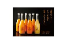 6種みかんジュースセット＜E56-50＞_ ジュース みかん ミカン 常温 国産 ストレート 温州 晩柑 ポンカン 不知火 清見 6種 フルーツ 果物 くだもの 人気 柑橘 かんきつ 愛媛 旬 産地直送 産直 季節限定 【1490301】
