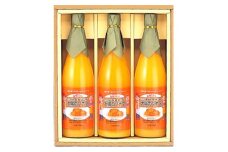 ＜毎月定期便＞太陽のソナタ(温州ミカンジュース)全10回＜H12-3＞【4002189】