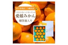 ＜2025年11月より順次発送＞西宇和地区八幡浜産 愛媛みかん贈答用 15個入り＜C25-97＞_みかん ミカン 蜜柑 愛媛みかん 温州みかん 果物 くだもの フルーツ えひめ 甘い おいしい かんきつ 柑橘 柑橘類 国産 愛媛 愛媛県 八幡浜市 産直 産地直送 送料無料【1356897】