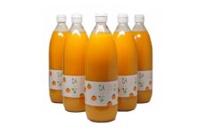 真穴産みかんジュース「ひな」6本セット＜E18-9＞_ ジュース ミカンジュース みかんジュース 温州 セット ストレート 100% 旬 1L 柑橘 愛媛 国産 ドリンク 飲料 果汁 希少 【1491601】