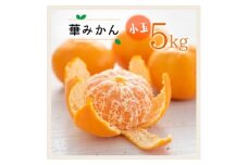 コウ果樹園の華みかん小玉5kg＜C33-37＞_ みかん ミカン 愛媛県 フルーツ 果物 くだもの 柑橘 かんきつ 人気 産地直送 産直 ジューシー 甘い 果汁 糖度 完熟 温州 小玉 甘い 人気 【1491968】