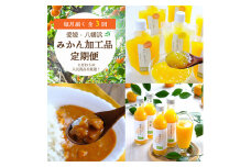 ＜毎月定期便＞おいしい愛媛みかんを使用!こだわりのみかん加工品定期便全3回＜G25-153＞_ 定期便 ミカン ジュース みかん ゼリー カレー フルーツ 果物 柑橘 くだもの 産地直送 産直 愛媛 食べ比べ 国産 詰合せ 【4012887】