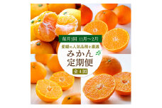＜発送月固定定期便＞愛媛の人気品種!かんきつ定期便 11月～2月全4回＜H25-154＞【4012888】