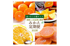 ＜発送月固定定期便＞食べ切り少量サイズ 愛媛の人気品種!柑橘定期便(秀品)全12回＜H25-156＞【4012890】