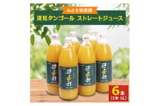 みさき果樹園のストレートジュース　清見タンゴール　1L×6本入り＜D21-21＞_ みかん ミカン ジュース ミカンジュース みかんジュース ストレート 100% 清見 きよみ フルーツ くだもの 果物 甘い 旬 産地直送 産直 【1494292】