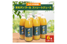 みさき果樹園のストレートジュース　清見タンゴール　1L×6本入り＜D21-21＞_ みかん ミカン ジュース ミカンジュース みかんジュース ストレート 100% 清見 きよみ フルーツ くだもの 果物 甘い 旬 産地直送 産直 【1494292】