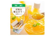 デコポンと同品種 愛媛のおいしい柑橘 不知火寒天ゼリーセット 8本＜C25-28＞_ ゼリー 寒天 デザート スイーツ セット みかん ミカン 柑橘 フルーツ 果物 くだもの 不知火 しらぬい 愛媛 産直 産地直送 国産 おやつ 無着色 無香料 【1502295】
