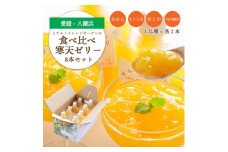 人気品種を厳選!みかん寒天ゼリー食べ比べセット 4品種×2本 計8本 ＜C25-31＞_ ゼリー 寒天 デザート スイーツ セット みかん ミカン 柑橘 フルーツ 果物 くだもの 愛媛 飲むゼリー 産直 産地直送 国産 おやつ 無着色 無香料 食べ比べ 【1502355】