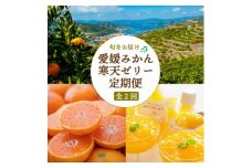 ＜発送月固定定期便＞愛媛みかん&みかん寒天ゼリー ミヤモトオレンジガーデン＜E25-159＞全2回【4050050】