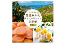 ＜発送月固定定期便＞愛媛みかん&みかんジュース＜E25-160＞全2回【4050216】