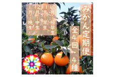 ＜発送月固定定期便＞愛咲果樹園「みかん定期便」(10月～1月)全4回＜D71-19＞_ 定期便 みかん ミカン 温州 早生 常温 国産 フルーツ 果物 くだもの 人気 柑橘 かんきつ 愛媛 旬 産地直送 産直 季節限定 甘い 限定 食べ比べ 【4013210】