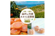 ＜発送月固定定期便＞愛媛みかん&冷凍みかん ミヤモトオレンジガーデン全2回＜E25-161＞_ 定期便 みかん ミカン 柑橘 フルーツ 果物 くだもの 青果 冷凍みかん 愛媛 産直 産地直送 国産 甘い 【4013522】