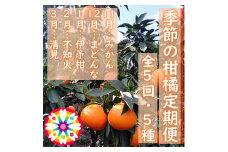 ＜発送月固定定期便＞愛咲果樹園「季節の柑橘定期便」(11月～3月)全5回＜F71-21＞【4013523】