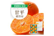 ＜2026年2月より順次発送＞愛媛限定栽培柑橘 甘平(かんぺい) ギフトボックス入り＜E25-99＞_ みかん ミカン 柑橘 フルーツ ふるーつ 果物 くだもの 青果 甘平 かんぺい 甘い 高糖度 濃厚 愛媛 希少 産直 産地直送 箱入 【1360088】