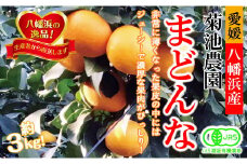 ＜JAS認証有機栽培＞こんな柑橘初めてプルプル新食感「まどんな」約3kg＜D39-25＞【1044609】