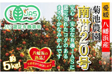 ＜JAS認証有機栽培＞濃厚な味わいの温州みかん!!菊池農園「南柑20号」5kg＜C39-23＞【1044610】