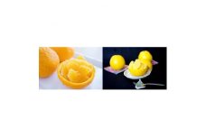 八幡浜産「河内晩柑5kg」「甘夏5kg」初夏の果物食べ比べセット＜訳あり＞＜D56-54＞【1508604】