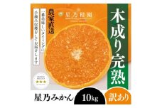 ＜訳あり＞星乃みかん園の星乃みかん(10kg)＜E45-64＞【1339361】