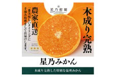 ＜三つ星ブランド＞星乃みかん (5kg)＜C45-55＞【1339340】