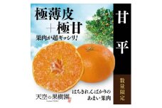 ＜極甘＞天空の果樹園から届く そら甘平(3.5kg)＜D45-69＞【1339402】