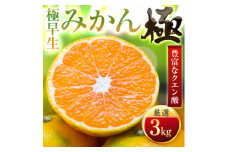 ＜太陽をたっぷり浴びた＞極早生みかん＜極＞3kg(小玉)＜C49-32＞【1508890】
