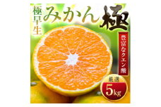 ＜太陽をたっぷり浴びた＞極早生みかん＜極＞5kg＜C49-33＞【1508894】