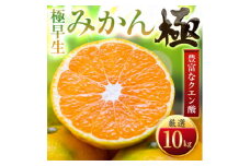 ＜太陽をたっぷり浴びた＞極早生みかん＜極＞10kg＜F49-35＞【1508904】