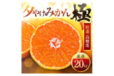 ＜甘みが濃縮されたみかん＞愛媛で育った夕やけみかん＜極＞20kg(小玉)＜H49-30＞【1508884】