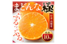 「夕やけブランド」ぷるぷる食感＜まどんな＞10kg　※紅まどんなと同品種　＜H49-40＞【1508955】