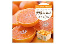 ＜2025年11月より順次発送＞酸味と甘みのバランス◎愛媛みかん3kg＜訳あり＞＜B25-164＞【1509982】