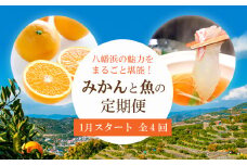 ＜発送月固定定期便＞みかんと魚の町八幡浜!みかんと魚の定期便～1月スタート便＜H25-87＞全4回【4051472】
