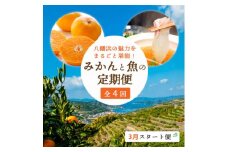＜発送月固定定期便＞みかんと魚の町八幡浜!みかんと魚の定期便～3月スタート便＜H25-165＞全4回_ 定期便 みかん 魚 鯛 せとか セット 詰合せ 柑橘 産地直送 愛媛 食べ比べ 国産 お取り寄せ 【4051481】