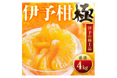 ＜太陽をたっぷり浴びた＞伊予柑＜極＞4kg＜C49-42＞【1509739】