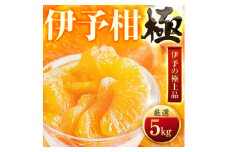 ＜太陽をたっぷり浴びた＞伊予柑＜極＞5kg＜C49-43＞【1509740】
