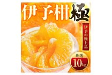 ＜太陽をたっぷり浴びた＞伊予柑＜極＞10kg＜F49-44＞【1509741】
